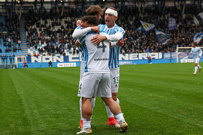 SPAL ARS ET LABOR - MESOLA