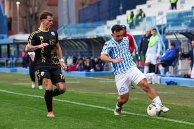 SPAL ARS ET LABOR - MESOLA