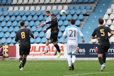 SPAL ARS ET LABOR - MESOLA