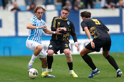 SPAL ARS ET LABOR - MESOLA