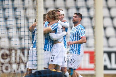 SPAL ARS ET LABOR - MESOLA