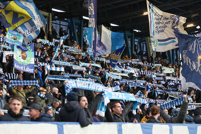 SPAL ARS ET LABOR - MESOLA