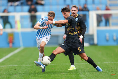SPAL ARS ET LABOR - MESOLA
