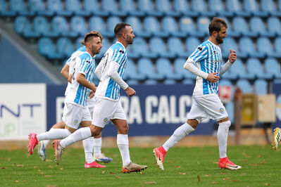 SPAL ARS ET LABOR - MESOLA