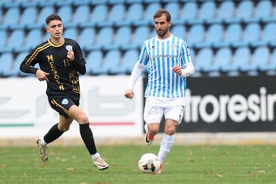 SPAL ARS ET LABOR - MESOLA