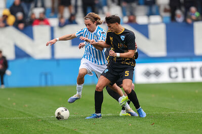 SPAL ARS ET LABOR - MESOLA