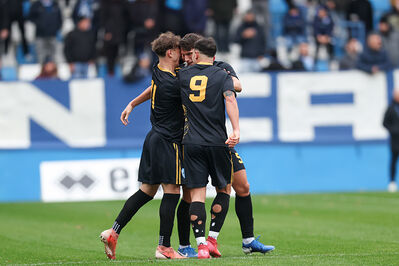 SPAL ARS ET LABOR - MESOLA