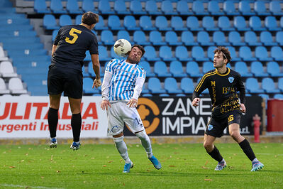 SPAL ARS ET LABOR - MESOLA