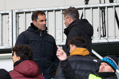 SPAL ARS ET LABOR - MESOLA