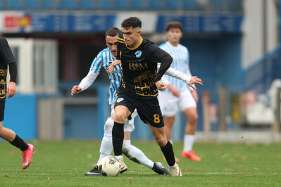 SPAL ARS ET LABOR - MESOLA