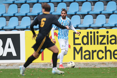 SPAL ARS ET LABOR - MESOLA