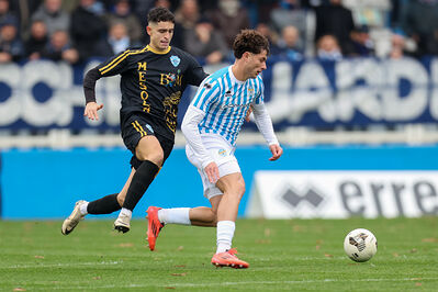 SPAL ARS ET LABOR - MESOLA