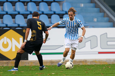 SPAL ARS ET LABOR - MESOLA