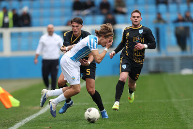 SPAL ARS ET LABOR - MESOLA