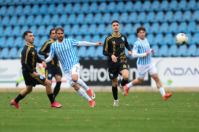 SPAL ARS ET LABOR - MESOLA