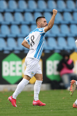 SPAL ARS ET LABOR - MESOLA