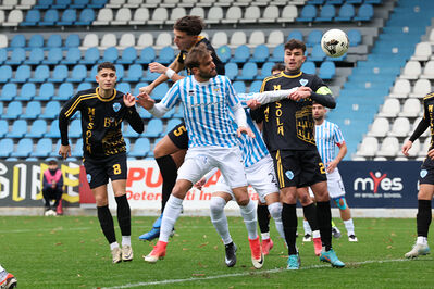 SPAL ARS ET LABOR - MESOLA