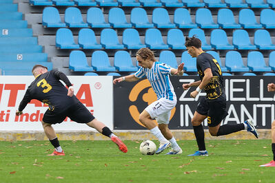 SPAL ARS ET LABOR - MESOLA