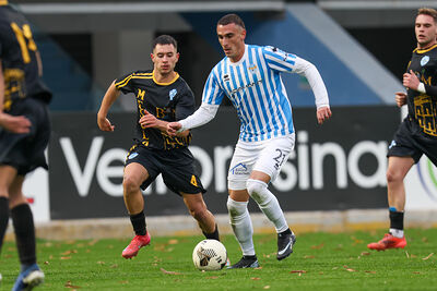 SPAL ARS ET LABOR - MESOLA