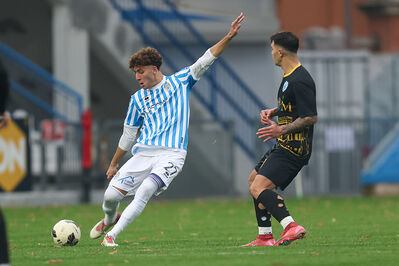 SPAL ARS ET LABOR - MESOLA