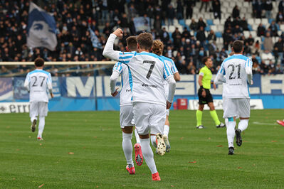 SPAL ARS ET LABOR - MESOLA