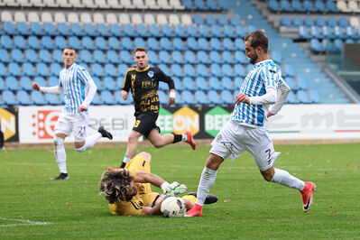 SPAL ARS ET LABOR - MESOLA