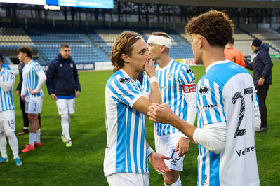 SPAL ARS ET LABOR - MESOLA