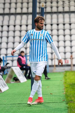 SPAL ARS ET LABOR - MESOLA