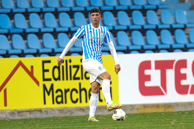 SPAL ARS ET LABOR - MESOLA