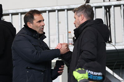 SPAL ARS ET LABOR - MESOLA