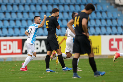 SPAL ARS ET LABOR - MESOLA