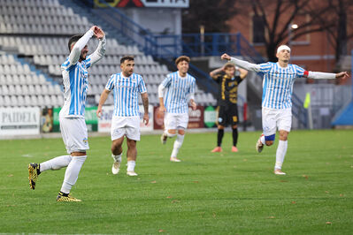 SPAL ARS ET LABOR - MESOLA