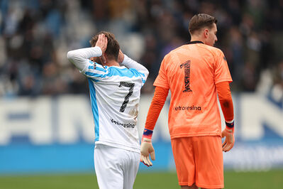 SPAL ARS ET LABOR - MESOLA