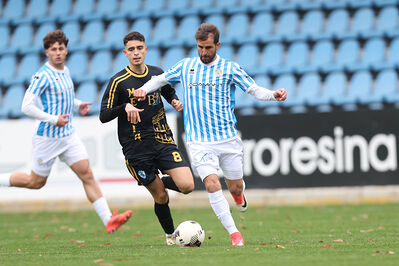 SPAL ARS ET LABOR - MESOLA