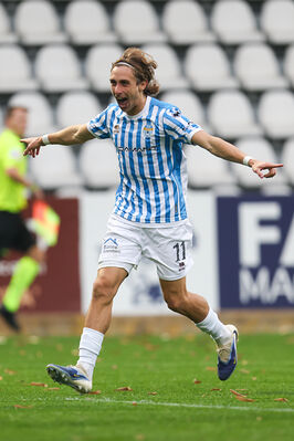 SPAL ARS ET LABOR - MESOLA