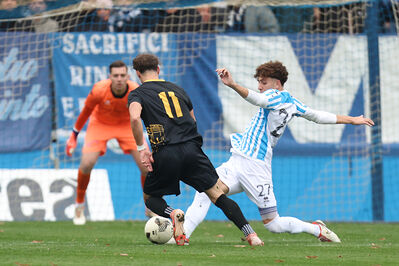 SPAL ARS ET LABOR - MESOLA