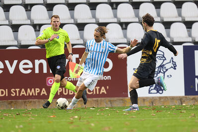 SPAL ARS ET LABOR - MESOLA