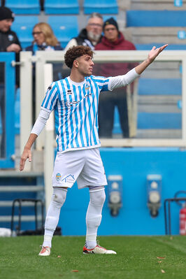 SPAL ARS ET LABOR - MESOLA