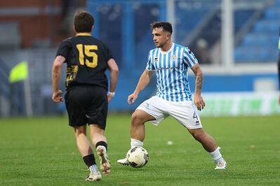 SPAL ARS ET LABOR - MESOLA