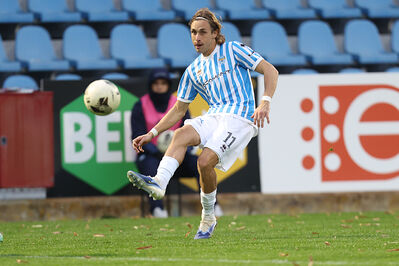 SPAL ARS ET LABOR - MESOLA