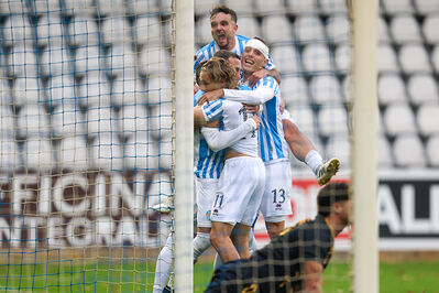 SPAL ARS ET LABOR - MESOLA