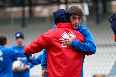 SPAL ARS ET LABOR - MESOLA