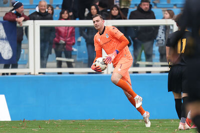 SPAL ARS ET LABOR - MESOLA