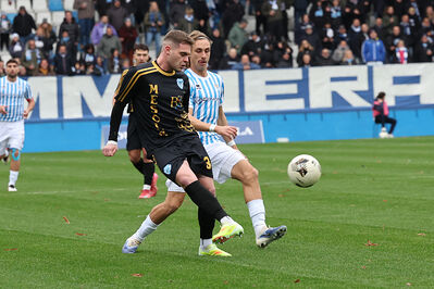 SPAL ARS ET LABOR - MESOLA