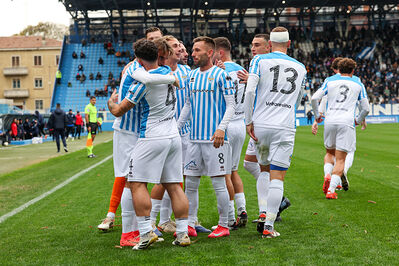 SPAL ARS ET LABOR - MESOLA