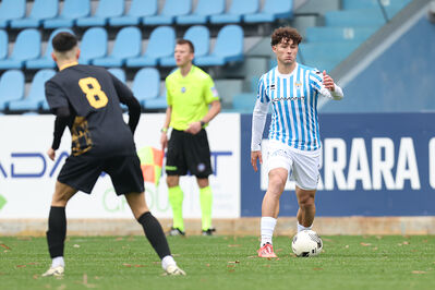 SPAL ARS ET LABOR - MESOLA