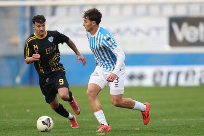 SPAL ARS ET LABOR - MESOLA