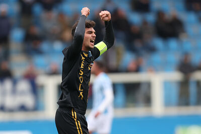 SPAL ARS ET LABOR - MESOLA