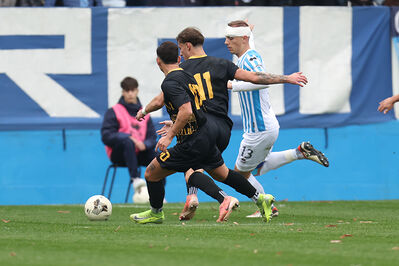 SPAL ARS ET LABOR - MESOLA