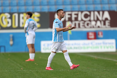 SPAL ARS ET LABOR - MESOLA